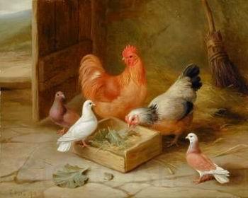 unknow artist Cocks 107 France oil painting art